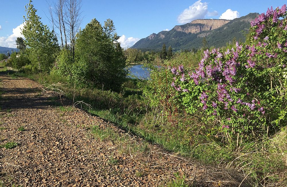 RAIL TRAIL MAINTENANCE UNDERWAY
